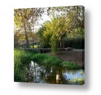 תמונות למשרד תמונות נופי ישראל למשרד | מעיין