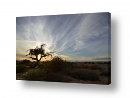 ארי בלטינשטר ארי בלטינשטר - צילומי מוצר,טבע ואמנות - ענן | כמו ציור של שקיעה
