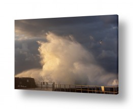 ארי בלטינשטר ארי בלטינשטר - צילומי מוצר,טבע ואמנות - חורף | ים סוער