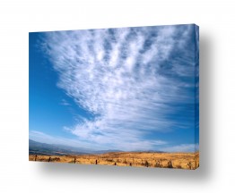 ארי בלטינשטר ארי בלטינשטר - צילומי מוצר,טבע ואמנות - עננים | ציור מעונן