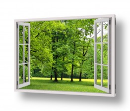 Artpicked Windows הגלרייה שלי | פארק ירוק