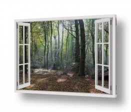 תמונות לחדר שינה חלונות מדומים לחדר שינה | ביער החשוך