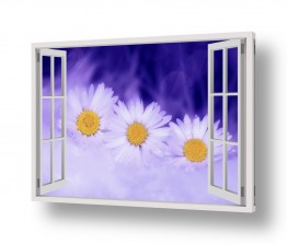 תמונות לחדר שינה חלונות מדומים לחדר שינה | פרחים על רקע סגול