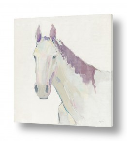 צבעים שילובים של צבע אפור | סוס מודל רישום