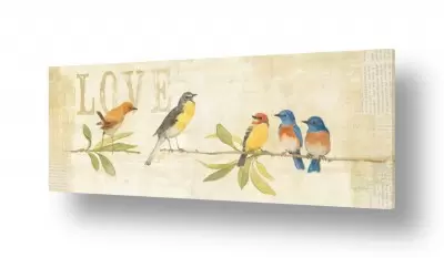 תמונות למשרד תמונות מעוצבות למשרד | עורבנים בצבע I