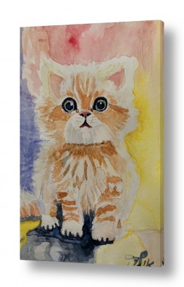 ציורים ציורים של בעלי חיים | חתלתול