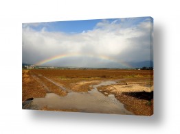 תמונות לפי נושאים קש | קשת על פני האדמה