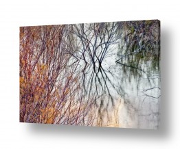 ימים ואגמים בישראל הכנרת | merging 2