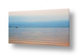 ציפורים שחפים | סירה ושחף