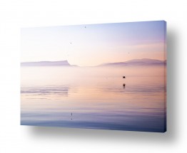 צבעים שילובים של צבע אפור | שלווה