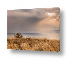 תמונות לבית תמונות מעוצבות לבית | ענן ושיזף