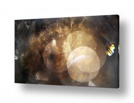 סגנונות דקורטיבי מעוצב | קוצים זוהרים