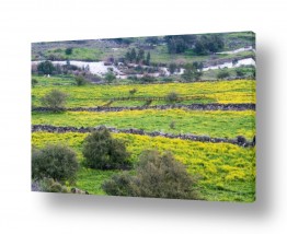 מים נהרות | חרדלים וטרסות