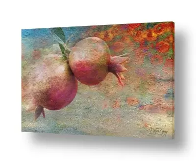 ציורים ציור | Pomegranates