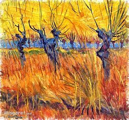 כמו צמח בר,,,