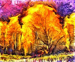 אופטימיות מוארת