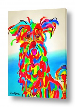 בעלי חיים - חיות חיות בית | כלב שאוהב צבעים