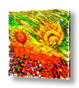 פרחים חמניות | רוחות וחמניות