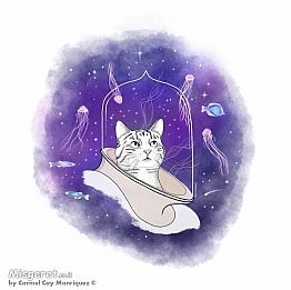 חתול אסטרונאוט