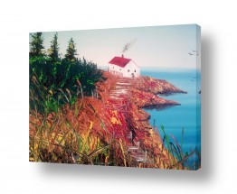 איל מלק איל מלק - גלריית צ¶אקרות - ים | קנדה שלי
