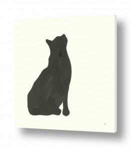 תמונות לפי נושאים שח | חתול שחור