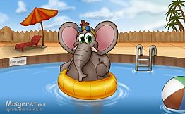פיל חמוד בבריכה