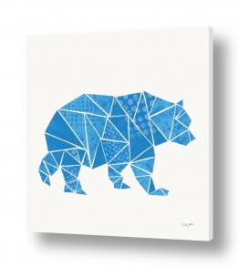 חיות טורפות דובים | דב גאומטרי