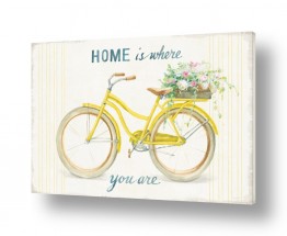 כלי רכב אופניים | תמיד בבית