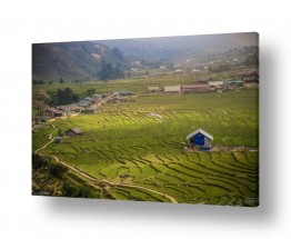 תמונות לפי נושאים כפר | כפר בצפון וייטנאם