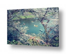 צילומים צילומים עירוני אורבני | שיט באגם בין עצי דובדבן