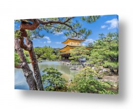 אסיה יפן | מקדש הזהב