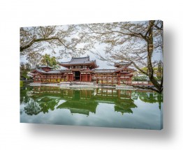 תמונות לפי נושאים קיוטו | מקדש בין העצים
