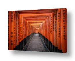 יפן טוקיו | שערים במקדש