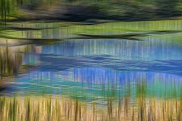 עשב על המים