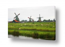 אירופה הולנד | תחנות רוח