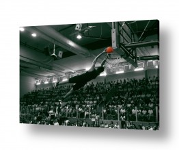 צילומים צילום ספורט | כדורסל