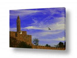 צילומים ישראל 75 | מגדל דוד