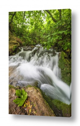 מים זרימה | דינמיות חוצה גבולות - נחל