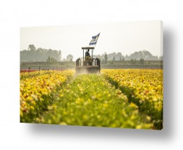 כלי רכב טרקטורים | חקלאות ישראלית