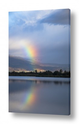 נושאים ארץ ישראל | קשת באגמון החולה