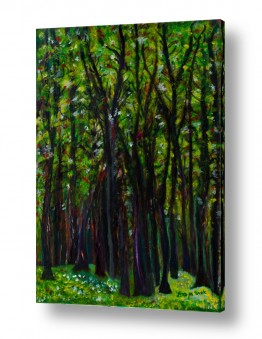 אסתר חן-ברזילי אסתר חן-ברזילי - אמנות מהלב - המילים הפכו לצבעים - צמרות עצים | חורש