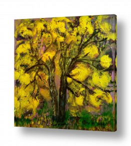ציורי שמן - נוף עצים שיחים ופרחים | פריחה בצהוב