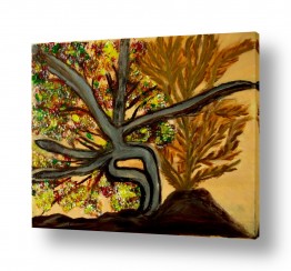 ציורי שמן - נוף עצים שיחים ופרחים | עצים בעין-גדי