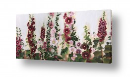 אסתר טל אסתר טל - ציורי שמן ריאליסטיים - פרח | פריחה