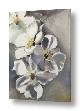 אסתר טל אסתר טל - ציורי שמן ריאליסטיים - פרחים לבנים | פרחים