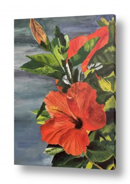 אסתר טל אסתר טל - ציורי שמן ריאליסטיים - פרחים אדומים | היביסקוס