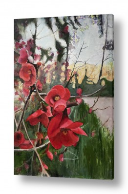 אסתר טל אסתר טל - ציורי שמן ריאליסטיים - פרחים אדומים | פריש יפני