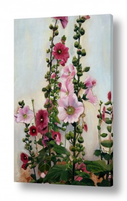 ציורים אסתר טל | חוטמיות