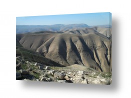 נופי ישראל נוף מדברי | שיפולי הרי פרא
