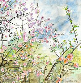 פריחת השקדייה